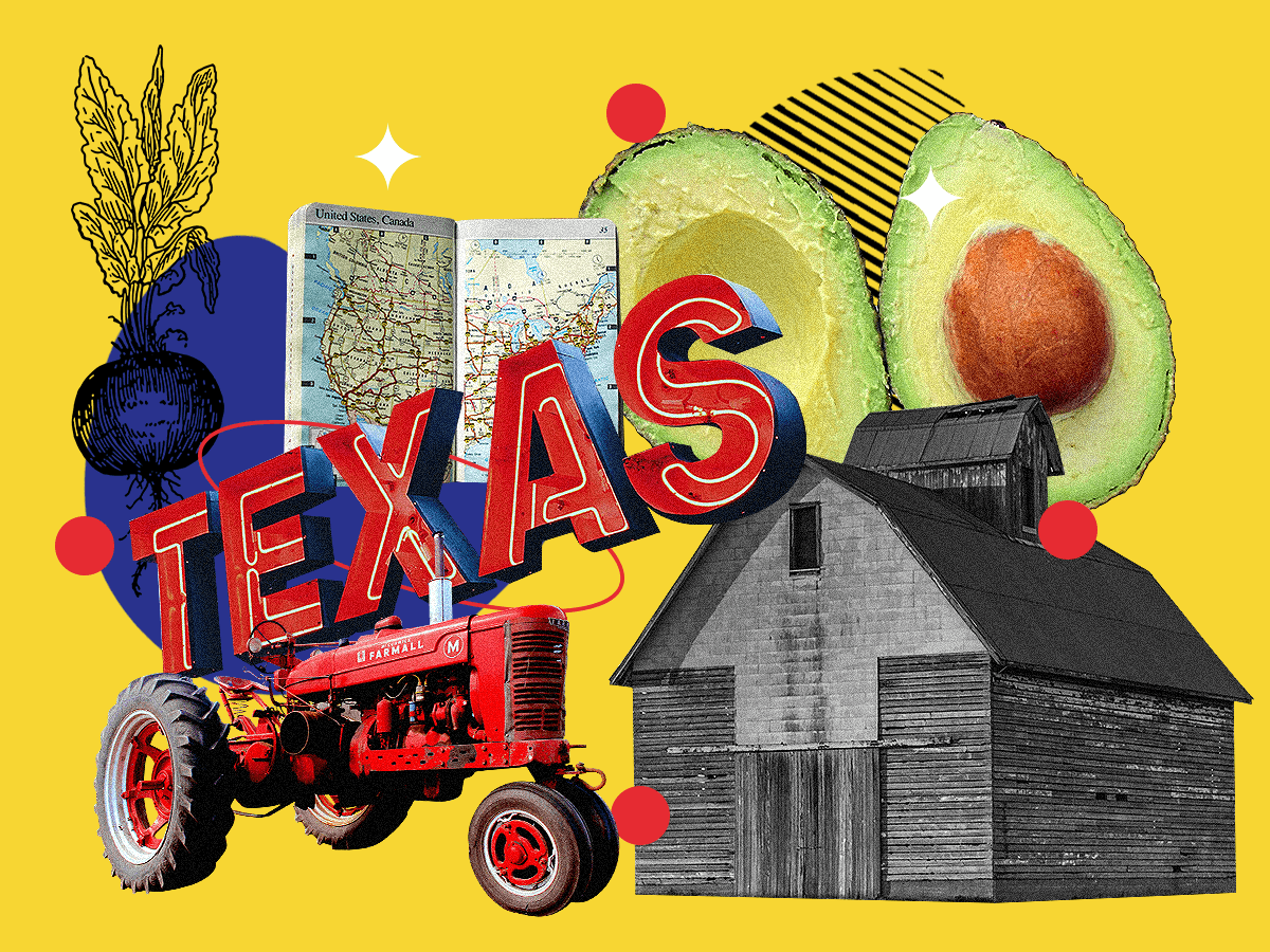 These Are the Top Ten Best States for Farmland in the US